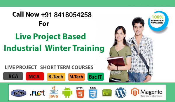 Best Winter Training Institutes in kanpur, lucknow